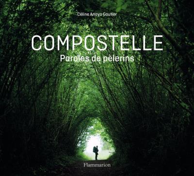 COMPOSTELLE - PAROLES DE PELERINS - ILLUSTRATIONS, COULEUR