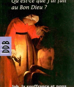 QU'EST-CE QUE J'AI FAIT AU BON DIEU ? - JOB, LA SOUFFRANCE ET NOUS