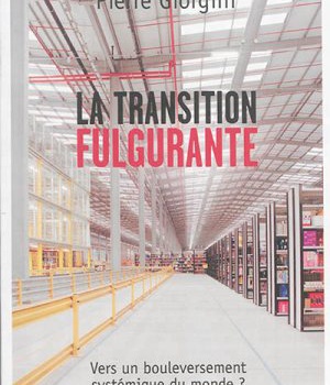LA TRANSITION FULGURANTE - VERS UN BOULEVERSEMENT SYSTEMIQUE DU MONDE?