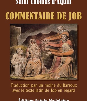 COMMENTAIRE DE JOB - TRADUCTION PAR UN MOINE DU BARROUX AVEC LE TEXTE LATIN DE JOB EN REGARD