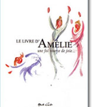 LE LIVRE D'AMELIE NDSP