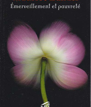 EMERVEILLEMENT ET PAUVRETE (BICP*)
