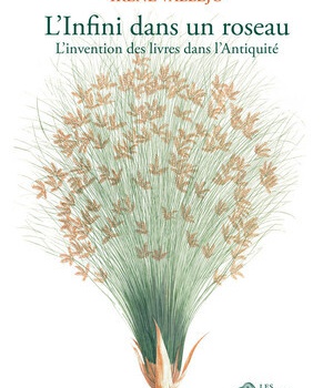 L'INFINI DANS UN ROSEAU - L'INVENTION DES LIVRES DANS L'ANTIQUITE