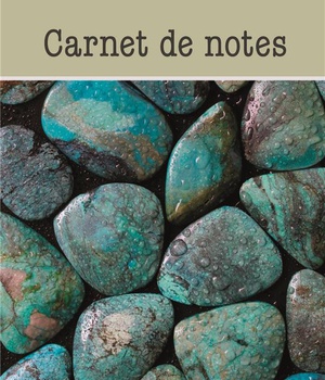 CARNET DE NOTES (PIERRES)