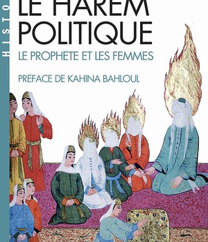 LE HAREM POLITIQUE (ESPACES LIBRES - IDEES)