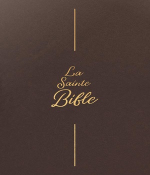 BIBLE SEGOND 1910 - GROS CARACTERES, BRUN