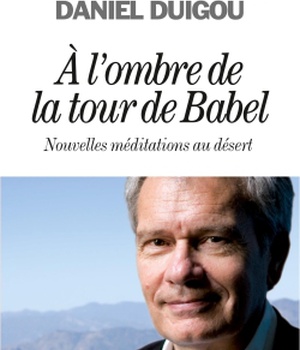 A L'OMBRE DE LA TOUR DE BABEL - NOUVELLES MEDITATIONS AU DESERT