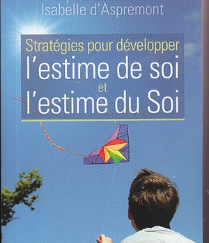 STRATEGIES POUR DEVELOPPER L'ESTIME DE SOI ET L'ESTIME DU SOI