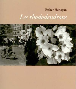 LES RHODODENDRONS