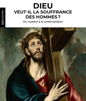 DIEU VEUT-IL LA SOUFFRANCE DES HOMMES ? - DU MYSTERE A LA CONTEMPLATION