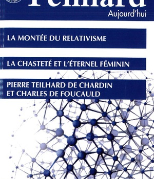 TEILHARD AUJOURD'HUI - T61 - N 61 - TEILHARD AUJOURD'HUI - MARS 2017 - LA MONTEE DU RELATIVISME - LA