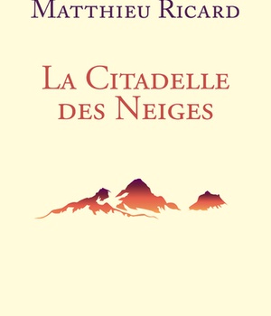 LA CITADELLE DES NEIGES - NOUVELLE EDITION