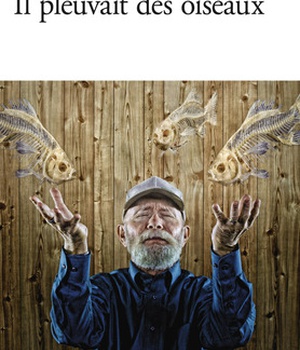 IL PLEUVAIT DES OISEAUX