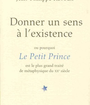 DONNER UN SENS A L'EXISTENCE