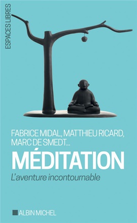 ESPACES LIBRES - T273 - MEDITATION - L'AVENTURE INCONTOURNABLE