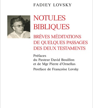 NOTULES BIBLIQUES - BREVES MEDITATIONS DE QUELQUES PASSAGES DES DEUX TESTAMENTS