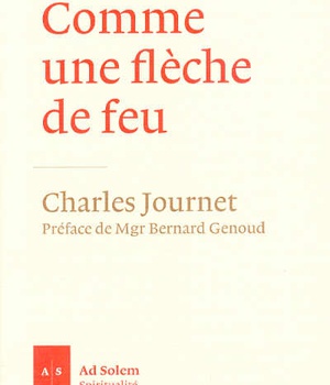 COMME UNE FLECHE DE FEU