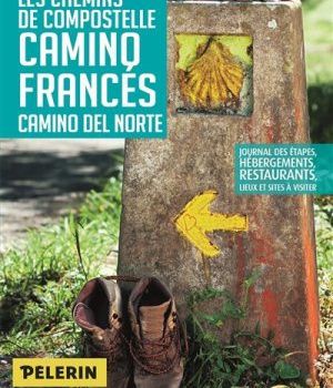 CHEMINS COMPOSTELLE CAMINO FRANCES