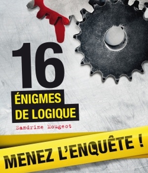 16 ENIGMES DE LOGIQUE DPTS