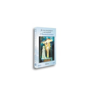 L'ILLUMINATION DES CONSCIENCES T02