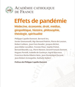 EFFETS DE PANDEMIE - MEDECINE, ECONOMIE, DROIT, MEDIAS, GEOPOLITIQUE, HISTOIRE, PHILOSOPHIE, THEOLOG