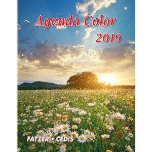 AGENDA COLOR 2019