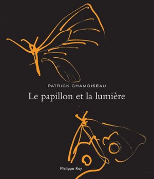 LE PAPILLON ET LA LUMIERE
