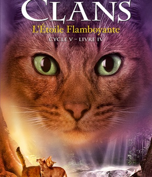 LA GUERRE DES CLANS CYCLE V - TOME 4 L'ETOILE FLAMBOYANTE - VOL04