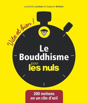 LE BOUDDHISME VITE ET BIEN POUR LES NULS