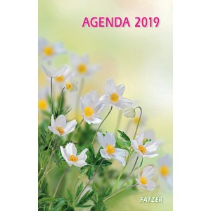 AGENDA 2019 INTERNATIONAL NDSP