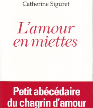 L'AMOUR EN MIETTES