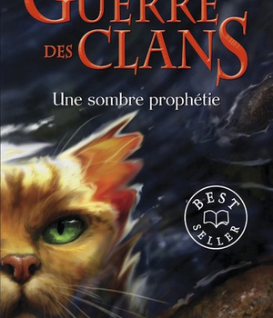 LA GUERRE DES CLANS - CYCLE I - TOME 6 UNE SOMBRE PROPHETIE -POCHE- - VOL06