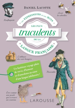 DICTIONNAIRE INSOLITE DU FRANCAIS TRUCULENT