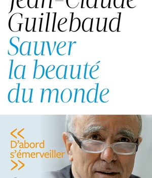 SAUVER LA BEAUTE DU MONDE