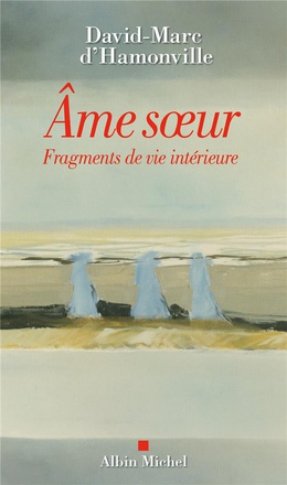 L AME SOEUR - FRAGMENTS DE VIE INTERIEURE