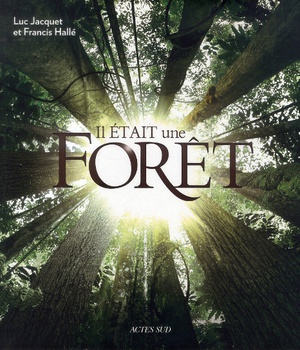IL ETAIT UNE FORET - ILLUSTRATIONS, COULEUR