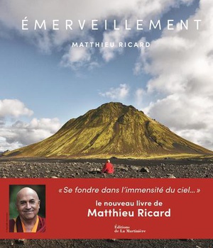 EMERVEILLEMENT