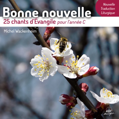 BONNE NOUVELLE - 25 CHANTS D'EVANGILE POUR L'ANNEE C CD