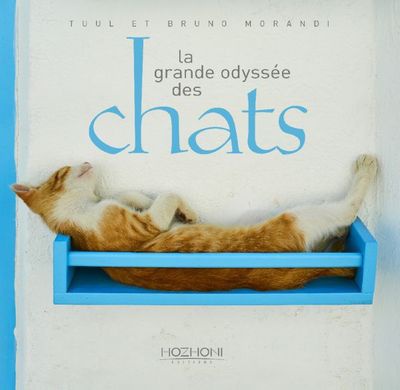 LA GRANDE ODYSSEE DES CHATS