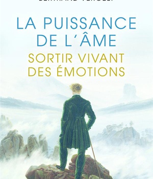LA PUISSANCE DE L'AME - SORTIR VIVANT DE L'EMOTION