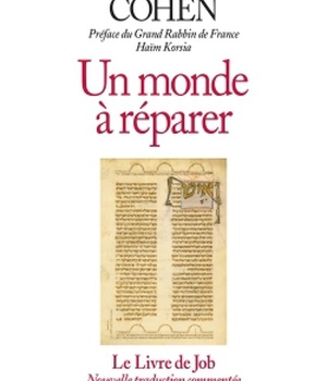 UN MONDE A REPARER - LE LIVRE DE JOB