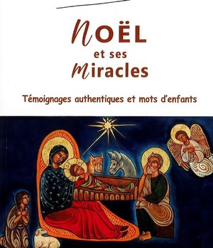 NOEL ET SES MIRACLES - TEMOIGNAGES AUTHENTIQUES ET MOTS DENFANTS