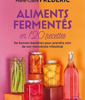 ALIMENTS FERMENTES EN 120 RECETTES