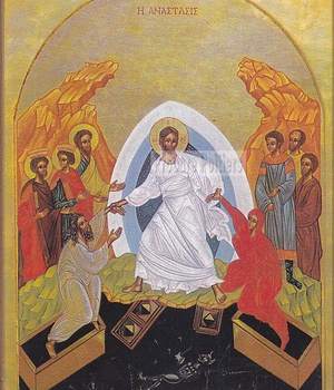 ICONE RESURRECTION NDSP