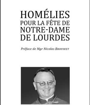 HOMELIES POUR LA FETE DE NOTRE-DAME DE LOURDES