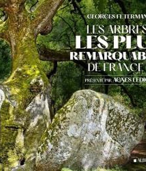 LES ARBRES LES PLUS REMARQUABLES DE FRANCE