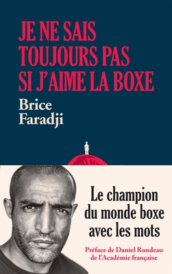 JE NE SAIS TOUJOURS PAS SI J'AIME LA BOXE - LE CHAMPION DU MONDE BOXE AVEC LES MOTS