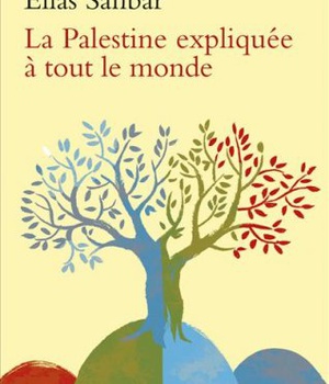 LA PALESTINE EXPLIQUEE A TOUT LE MONDE