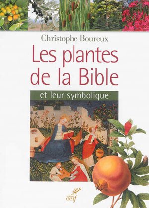 LES PLANTES DE LA BIBLE