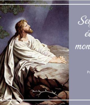 CARTE SEIGNEUR JESUS ECOUTE MON APPEL! PAR LOT DE 20